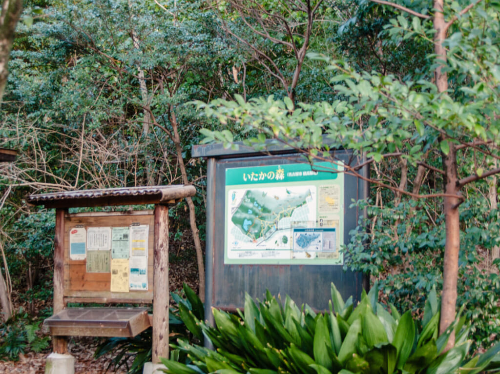 名東区自然散策会