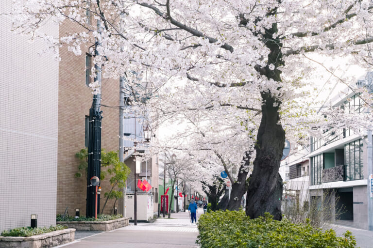 水道みち緑道