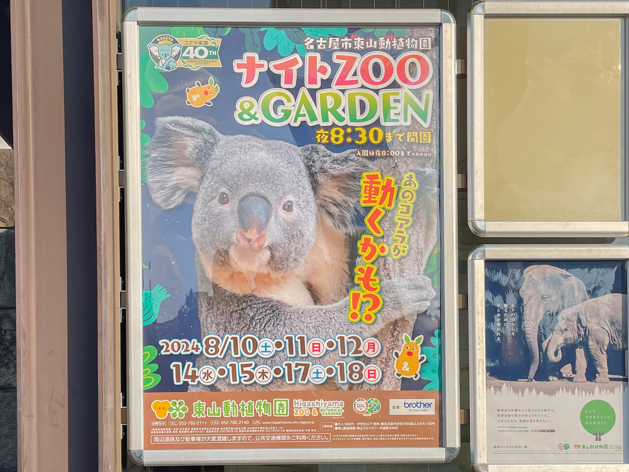 東山動植物園