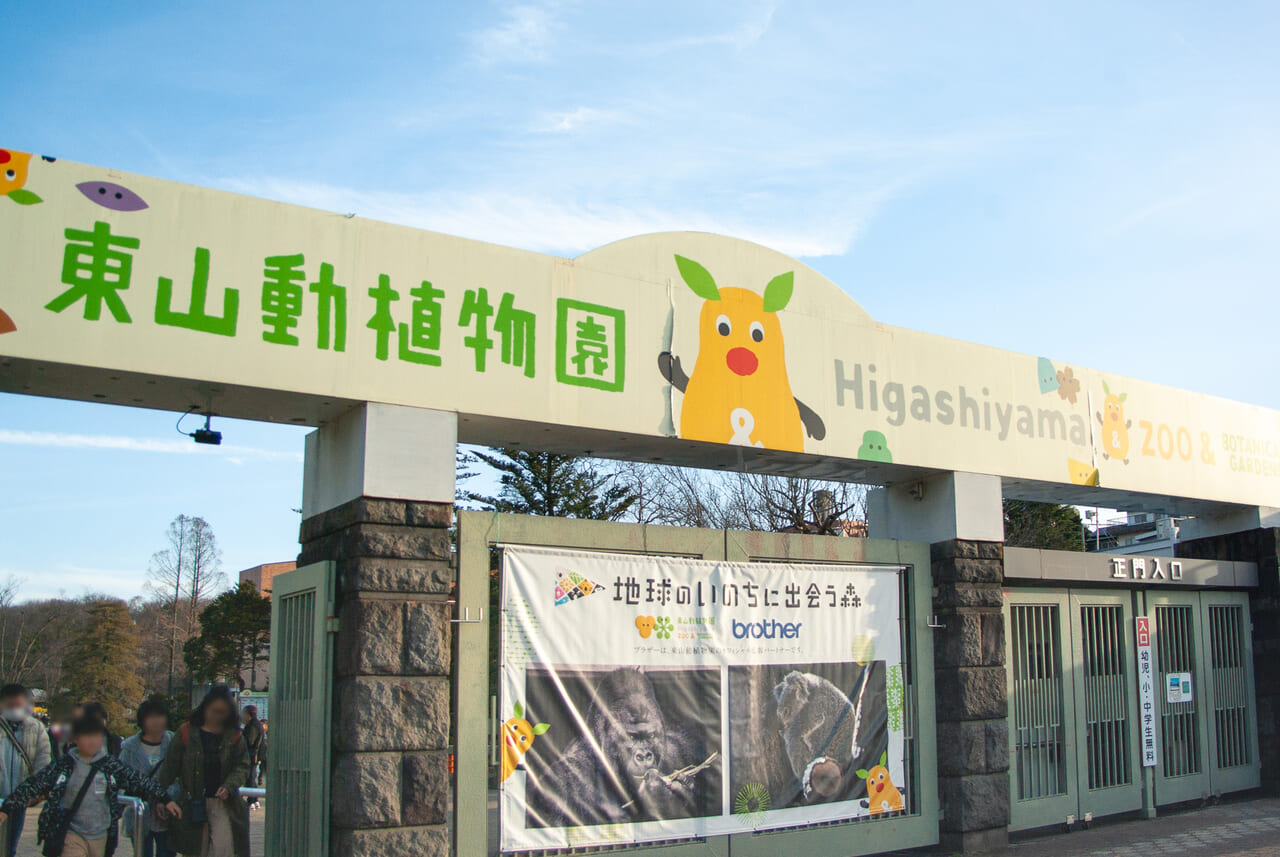 コモドオオトカゲが東山動植物園にやってきた！