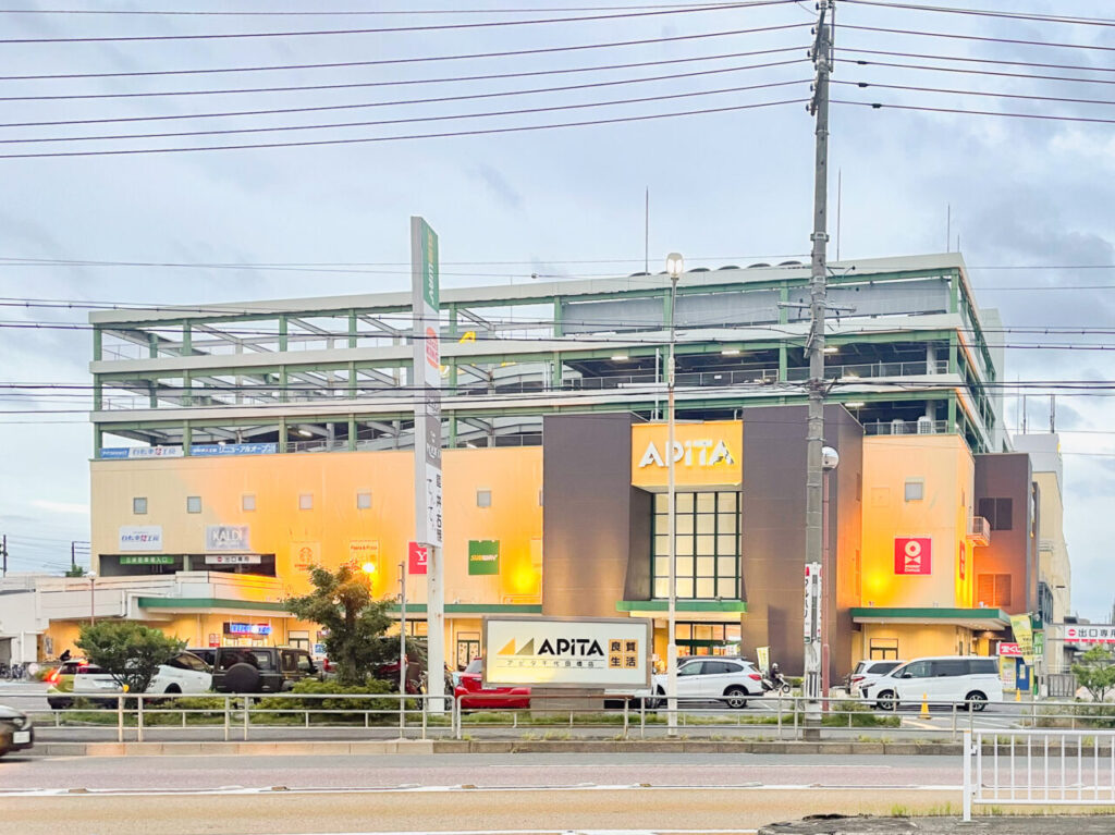 アピタ千代田橋店