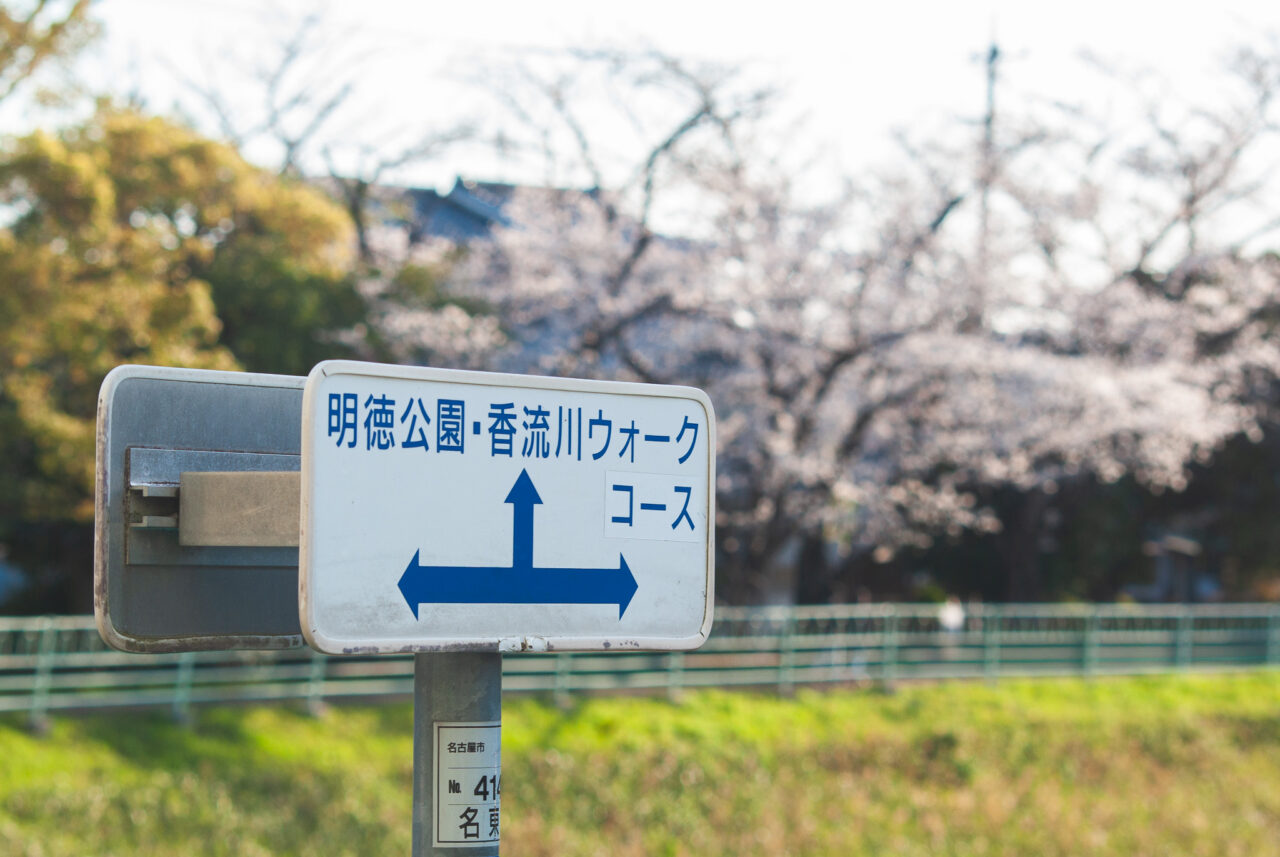 香流川の桜並木