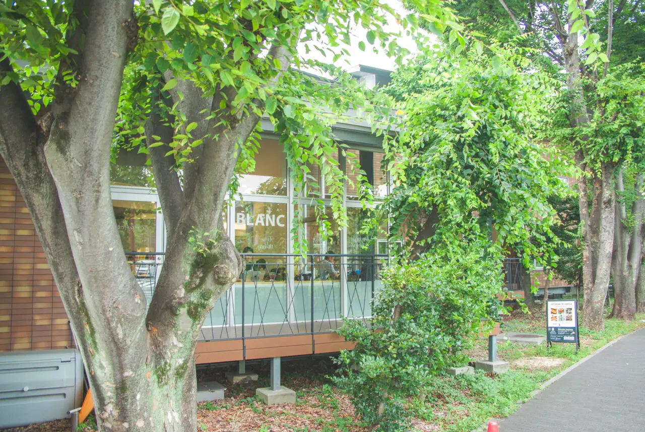 cafe blanc