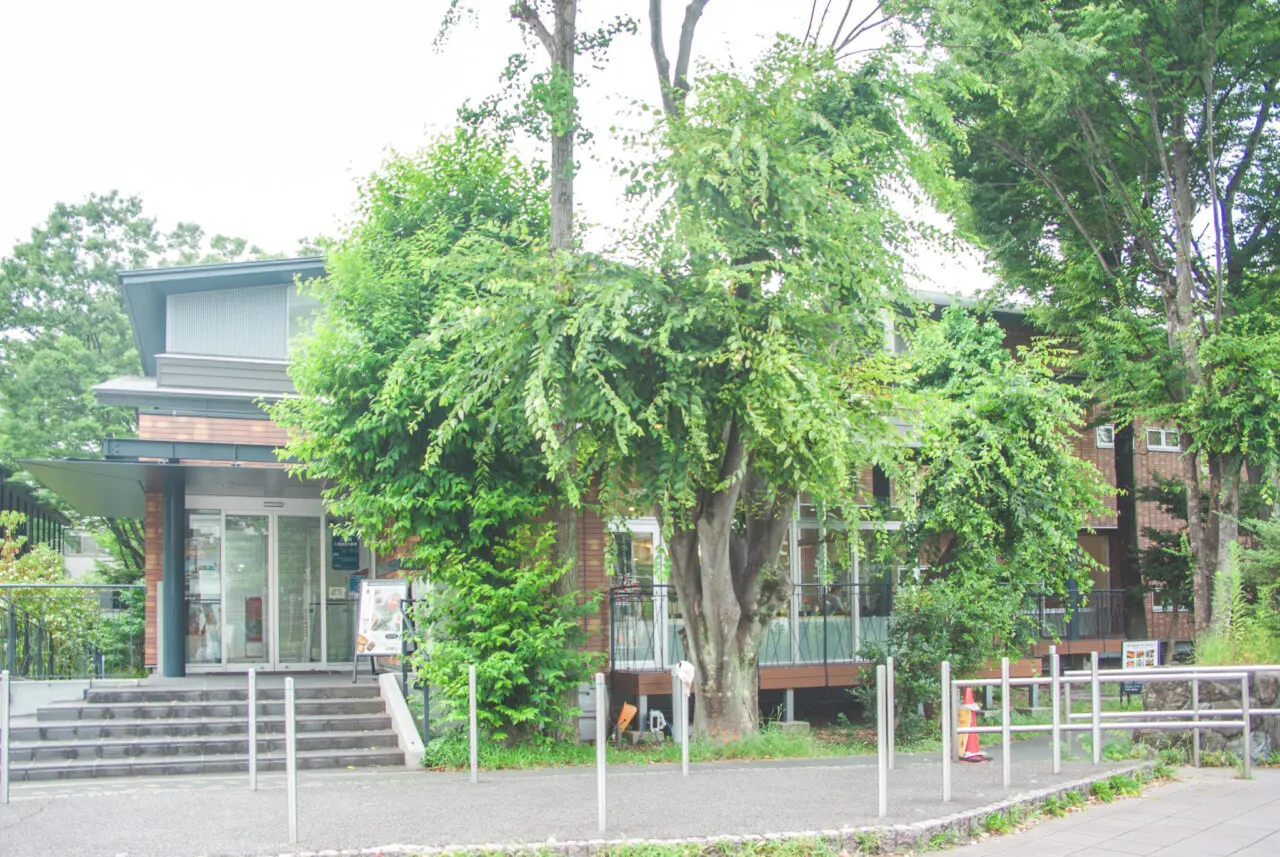 cafe blanc