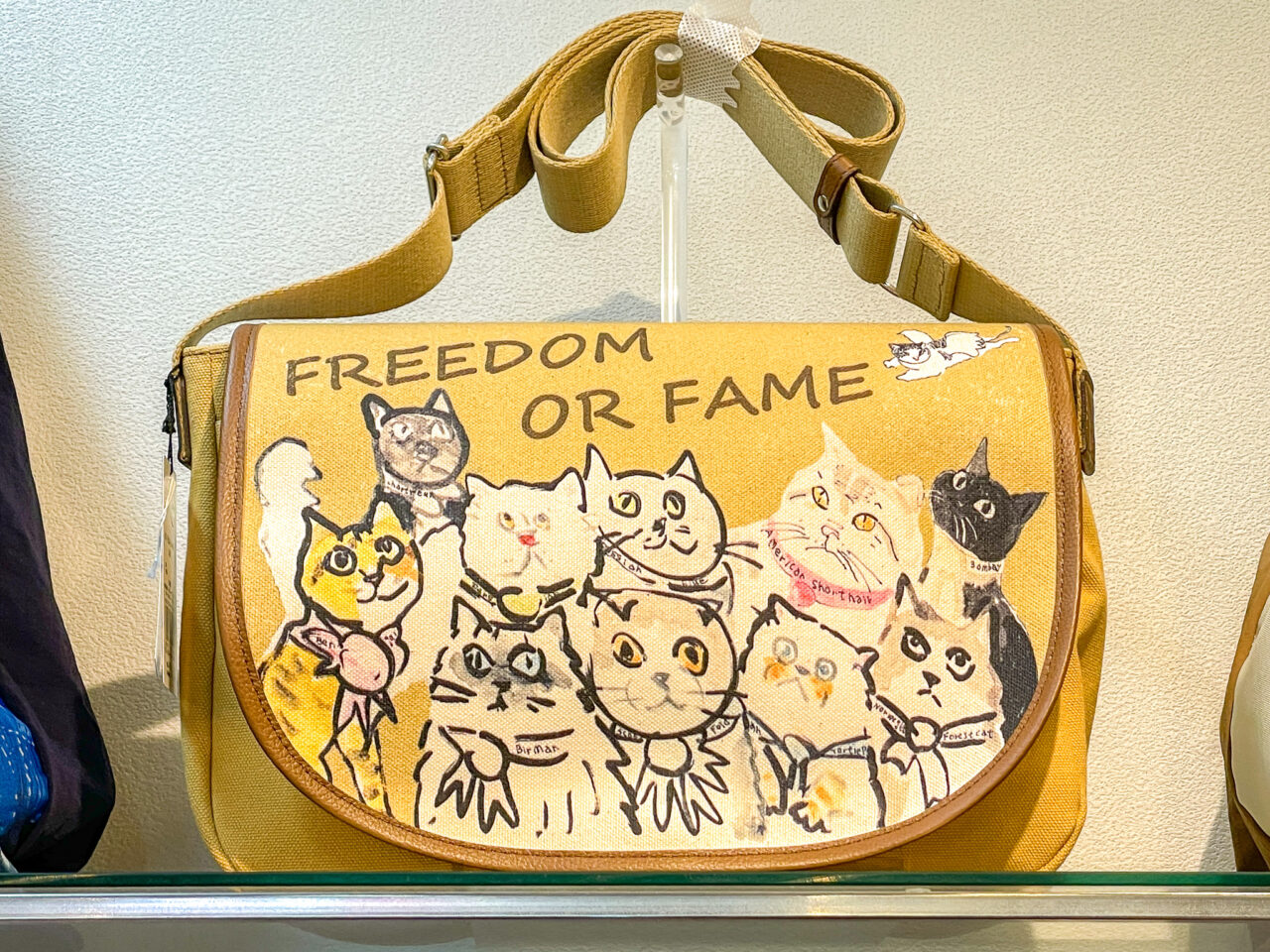 キャットコレクション