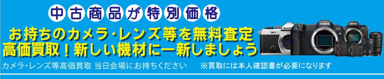 デジカメフェア