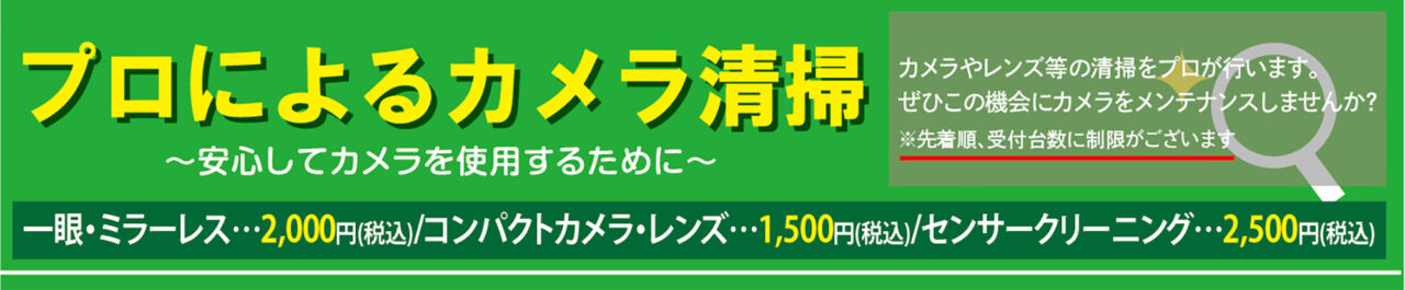 デジカメフェア