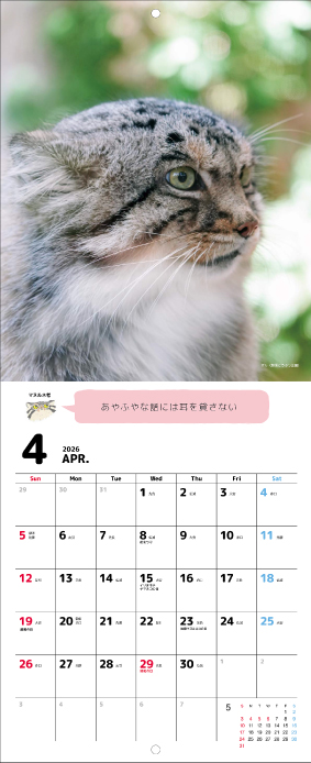 マヌルネコカレンダー
