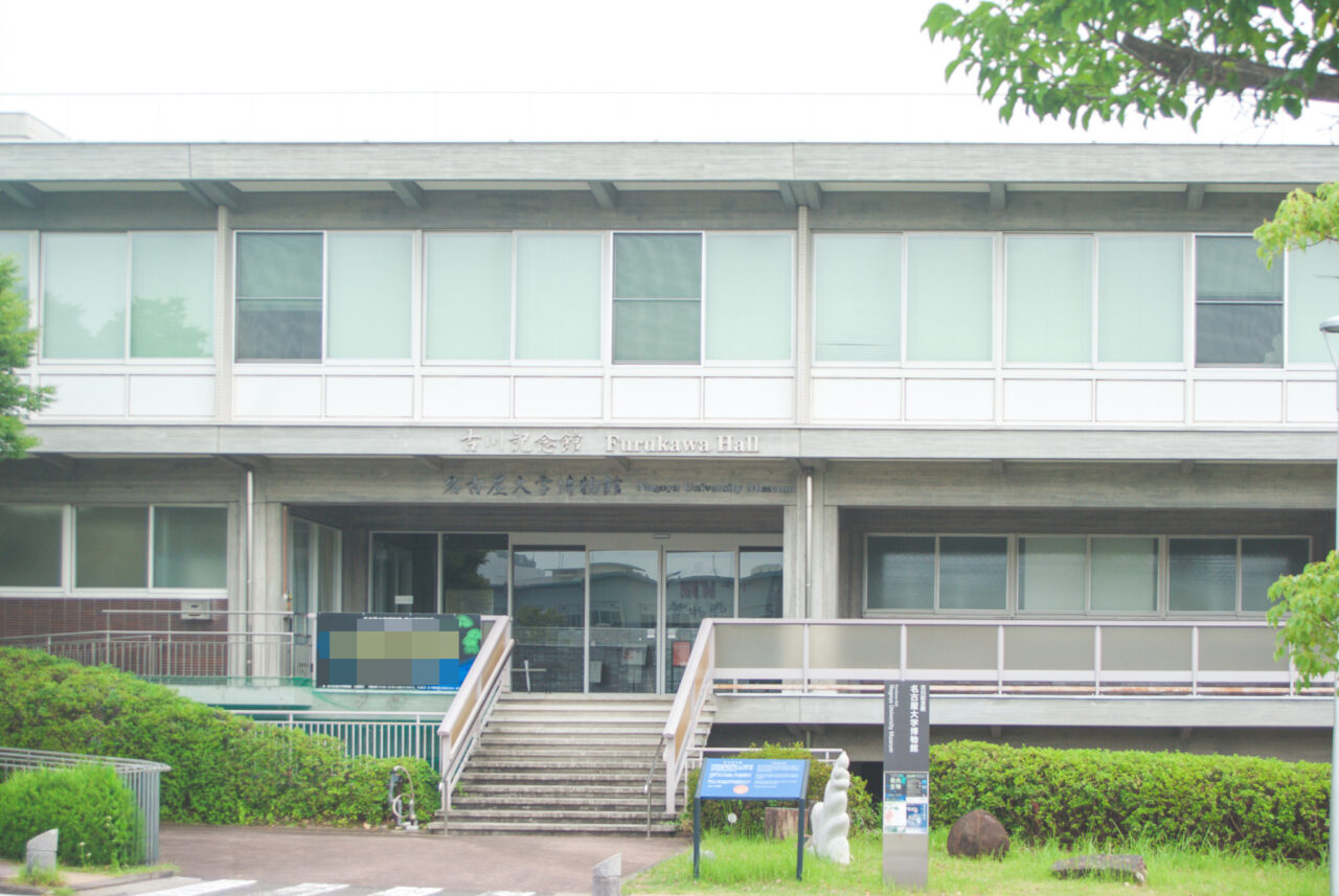 名古屋大学博物館