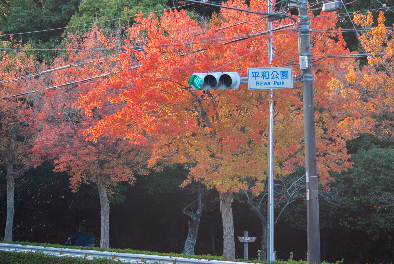 平和公園紅葉