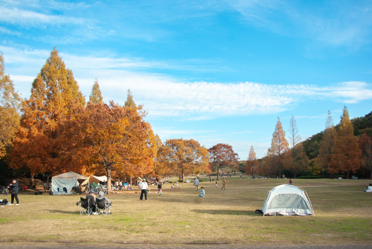 平和公園紅葉