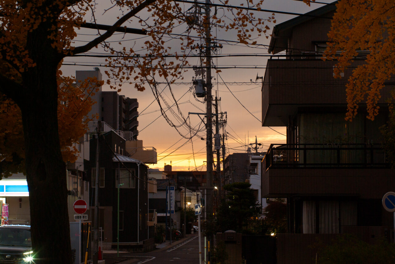 千種公園イチョウ並木