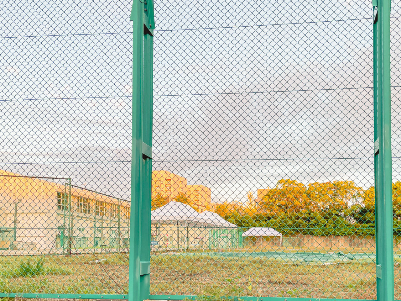 名古屋大学教育学部附属中・高等学校