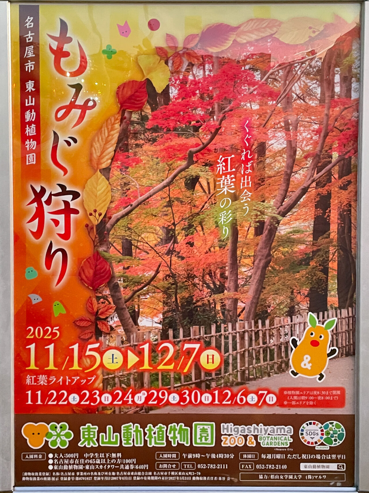 東山動植物園もみじ狩り