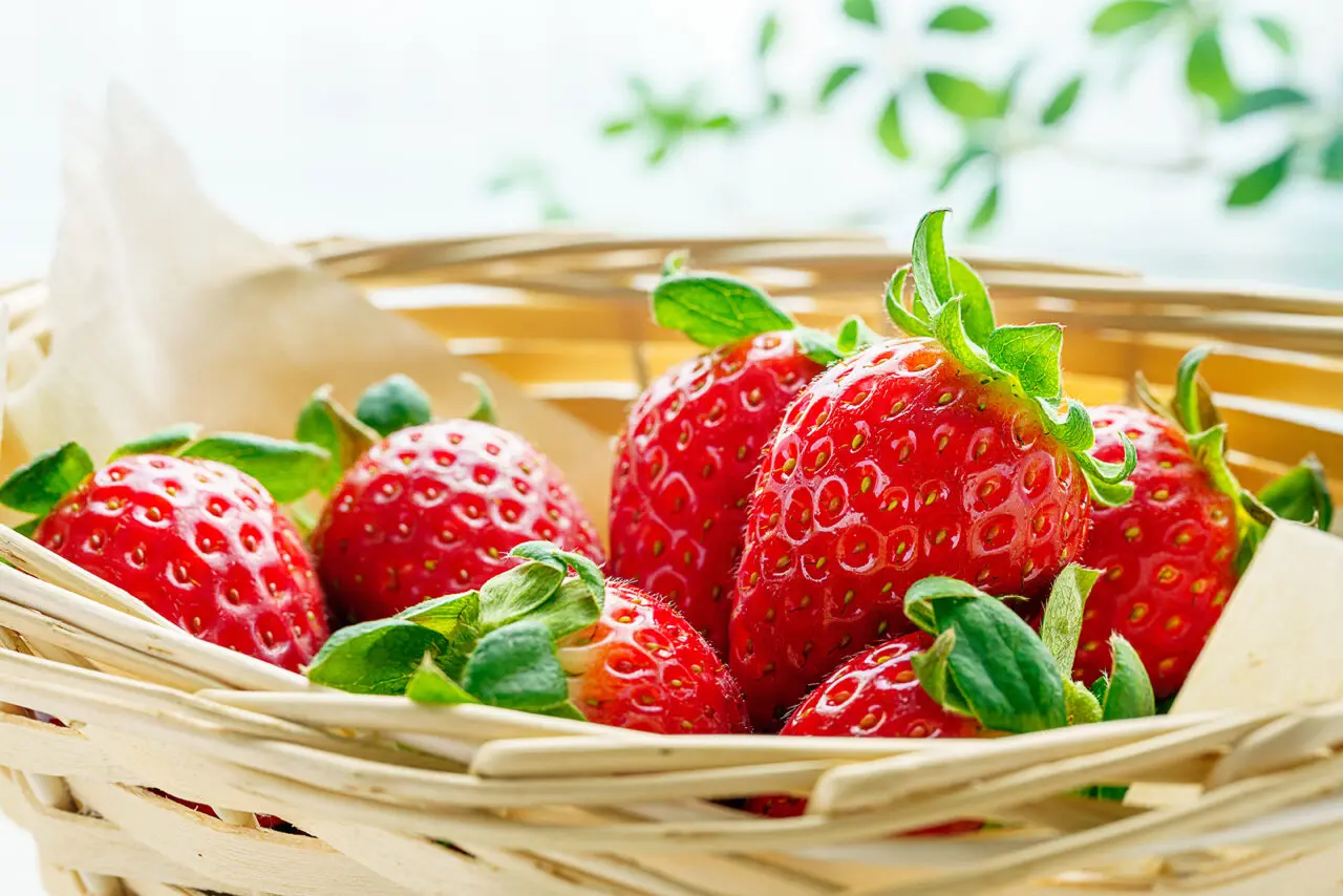 ストロベリーマーケット2026