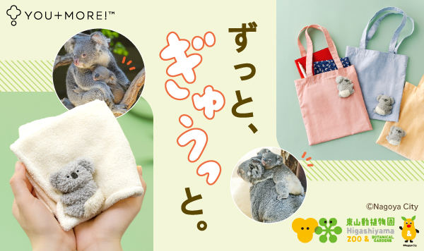 お昼寝だいすき ぎゅっとしがみつく赤ちゃんコアラ