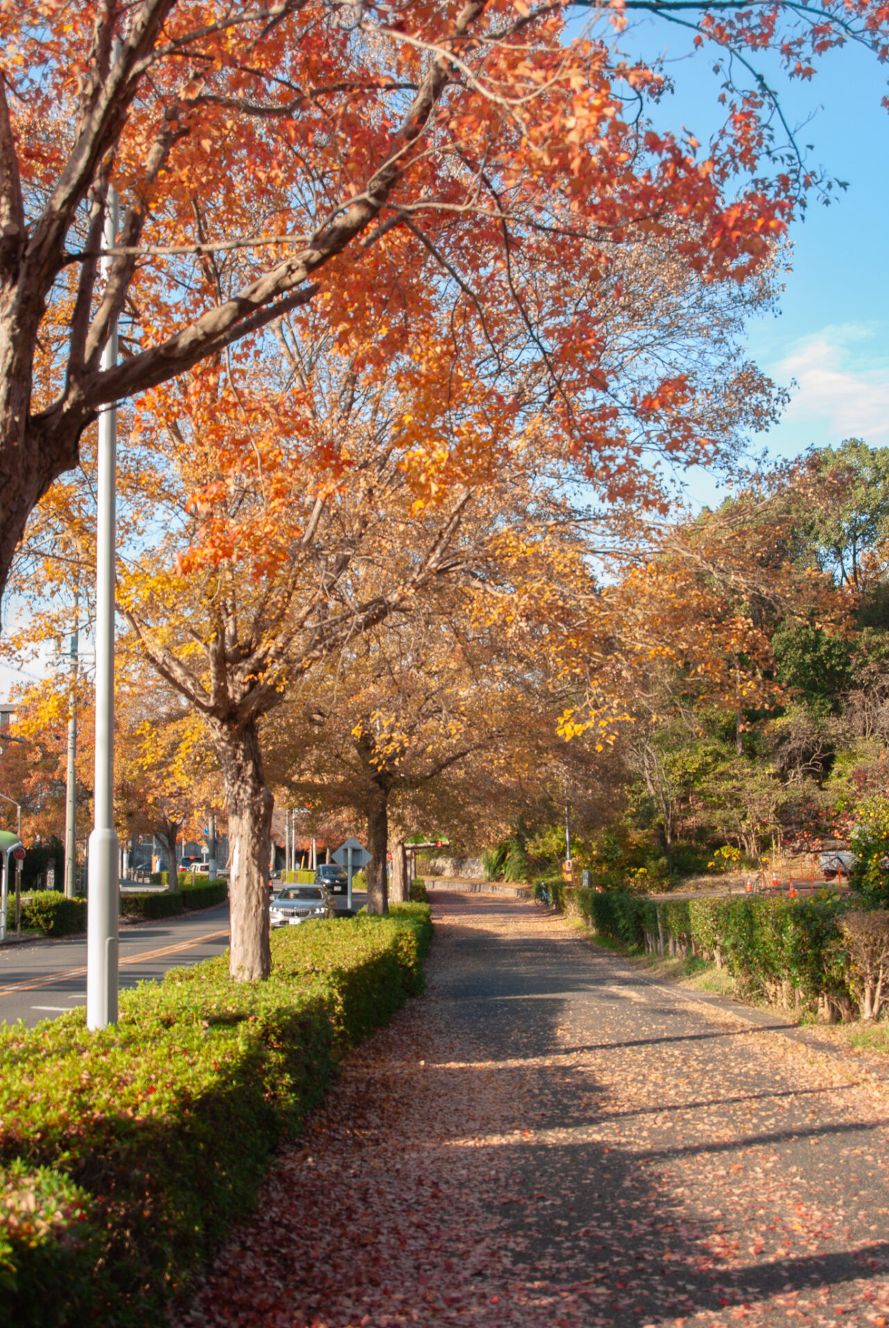 平和公園
