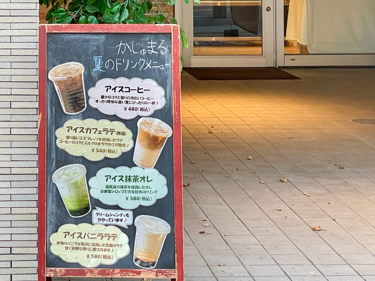 がじゅまる