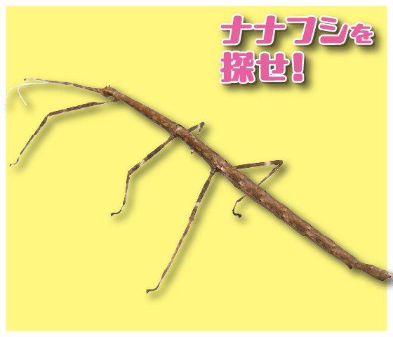 昆虫ランド