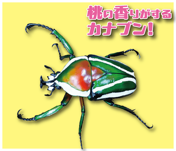 昆虫ランド