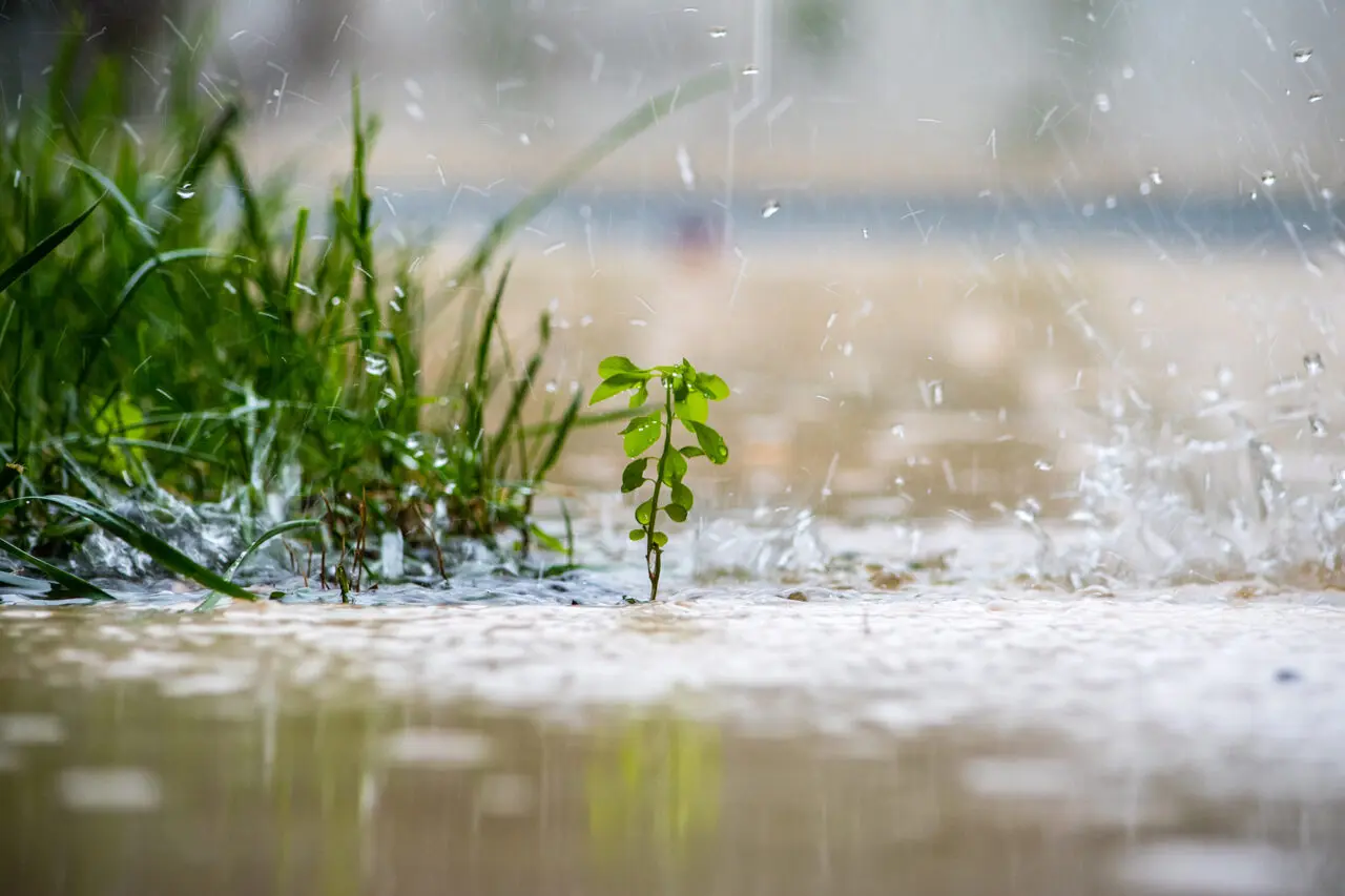 豪雨